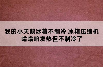 我的小天鹅冰箱不制冷 冰箱压缩机嗡嗡响发热但不制冷了